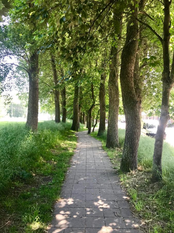 Sea And Dunes Knokke-Heist Εξωτερικό φωτογραφία